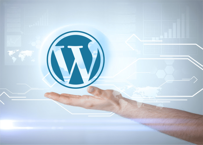 WordPress plugin ecosystem